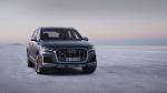 Audi SQ7 TDI 2019 года (WW)